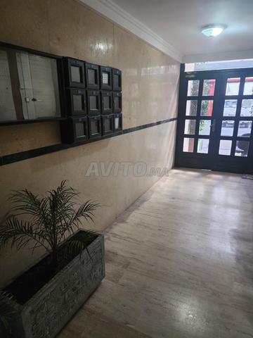 شقة واسعة بواجهتين بيلفيدير