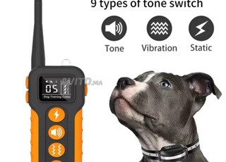 Collier électrique pour chiens