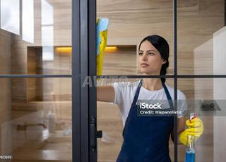 agence (femme de ménage cuisinière nounou )