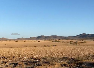 Terrain titré de 1 Hectare et 1037 m