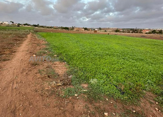Terrain à vendre à la commune d'Oulad Rahmoune