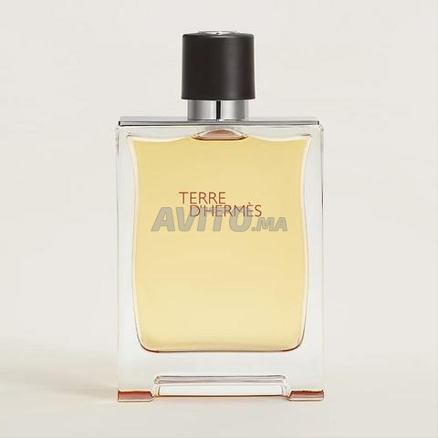 Terre d’Hermès Hermès Eau de Parfum pour  Homme - 2