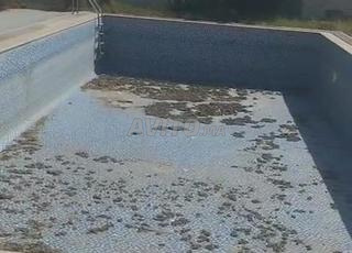 Appartement à vendre 2900 m² à Tanger