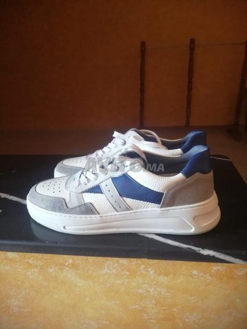 بول بوكسر أصلي جديد