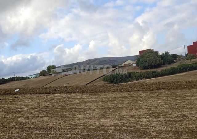 Terrain titré et spacieux à vendre près de Tétouan à un prix attractif