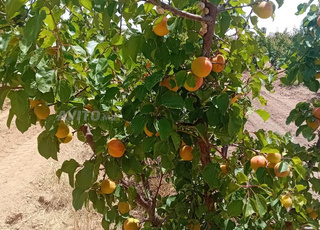 Ferme équipée et rentable