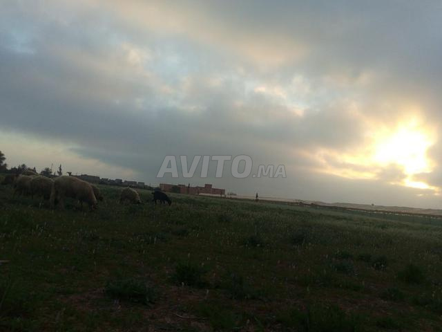 Bakhair Ait Amira Chtouka Ait Baha - 2