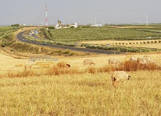 Coopérative Saquia El Hamra Ait Oualal Meknès