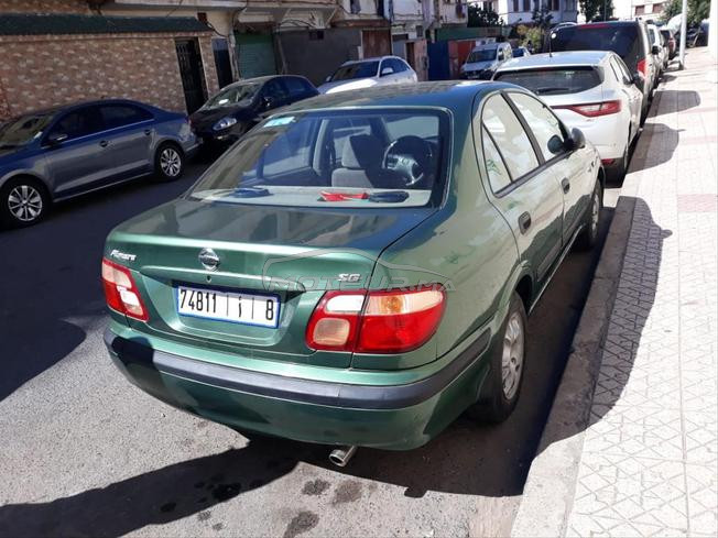سيارة نقية