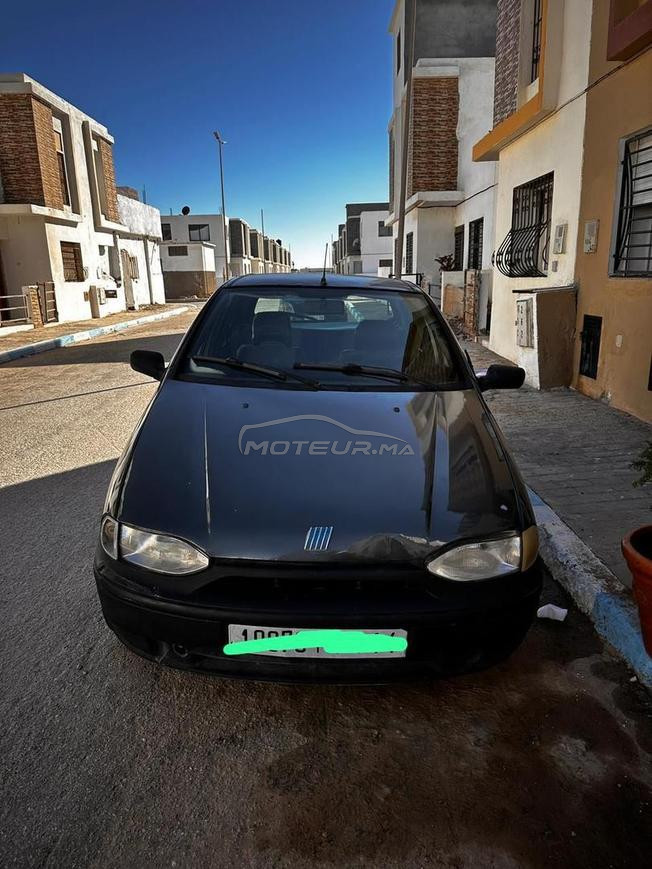 fiat palio  