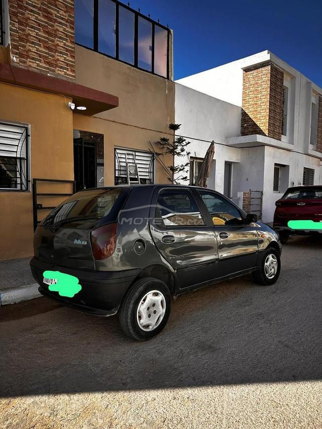 fiat palio  