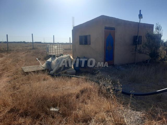 هكتار ونصف محافظة للبيع منطقة تيفلت الخميسات - 2