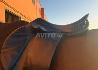 مجموعة من معدات الفروسية للبيع