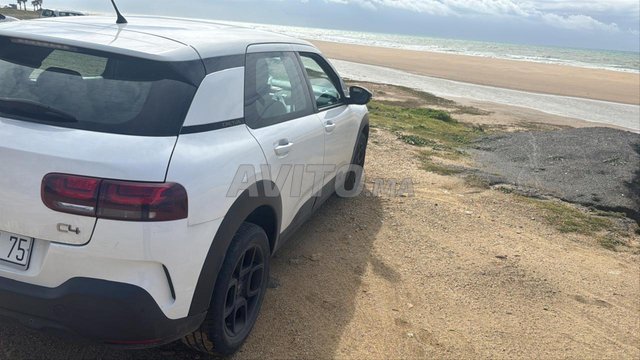 سيتروين C4 cactus