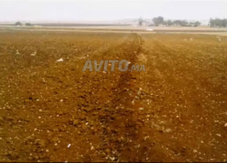 Hectare équipé à vendre près du marché