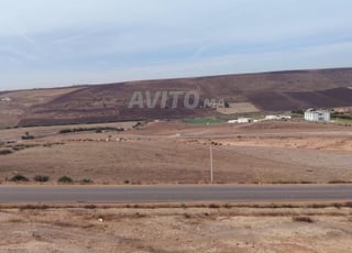 2.3 ha titré à Benslimane sur la route