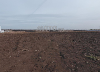 3.  5 ha titré à zyayda Benslimane