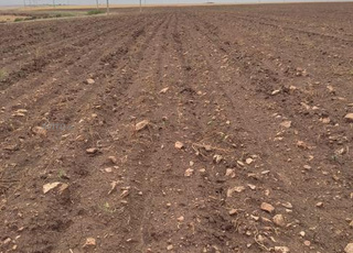 Hectare 6000m2 محافظة à vendre