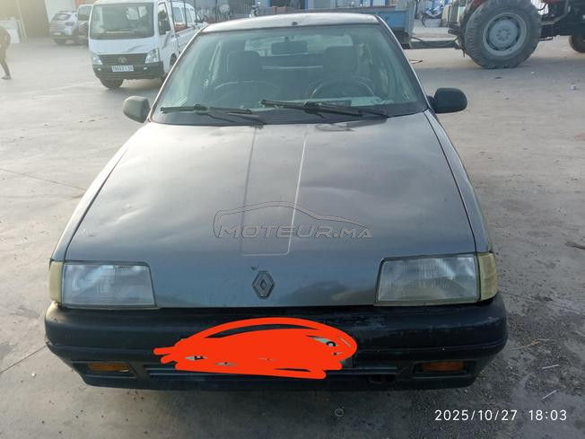 RENAULT 19
