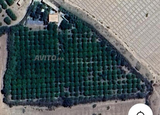 Ferme à vendre Titer