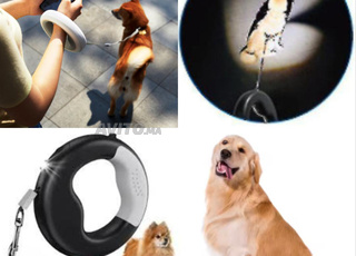 Laisse automatique à enrouleur avec lampe