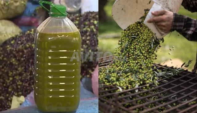 Huile d'olive vierge directement du pressoir