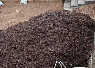 8 أطنان من الخروب