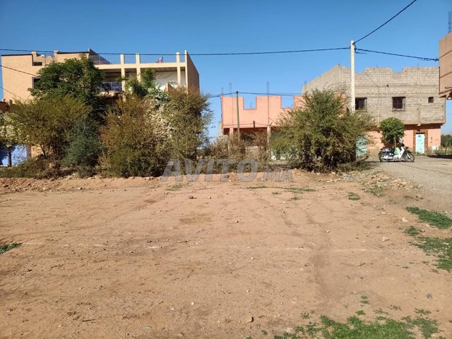 Lot de terrains milkiya 100m carré