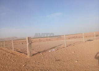 Excellent terrain agricole près de Boudnib