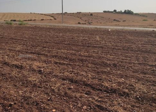 Hectare 5000m2 titre à vendre Tiflet Khemisset