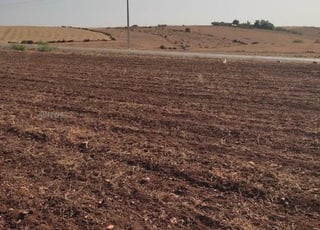 Hectare et demi à vendre à Tiflet Khémisset