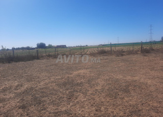 Hectare محافظة à vendre, région de Tiflet Khémisset
