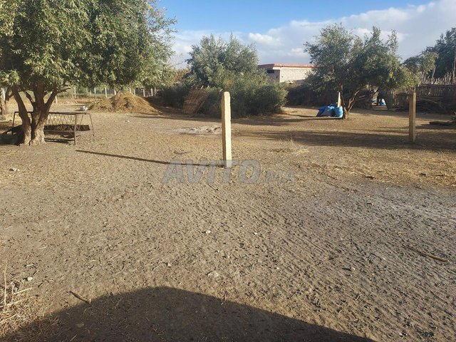 Terrain à vendre à ain kerma meknes