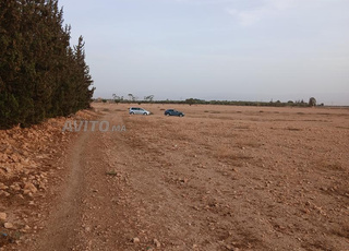 أرض مساحتها 10 هكتارات للبيع