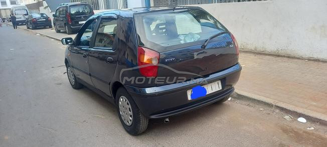 fiat palio