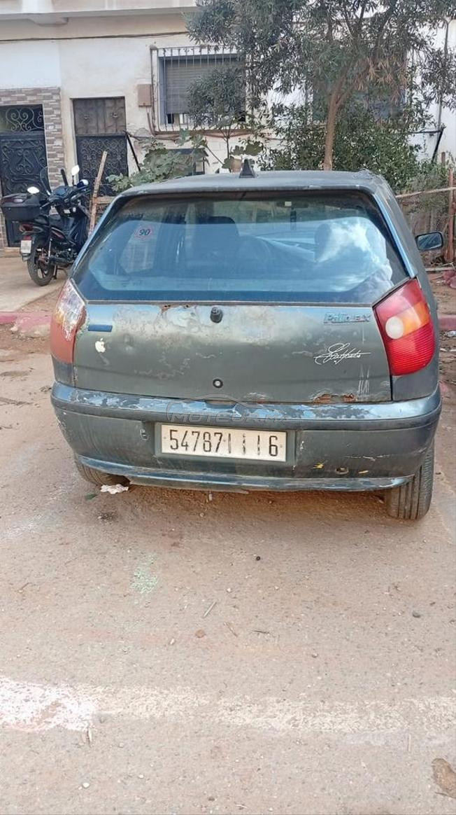 fiat 