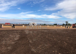 Ferme titrée à vendre 10000m² dans la région de Batiwa Mediouna