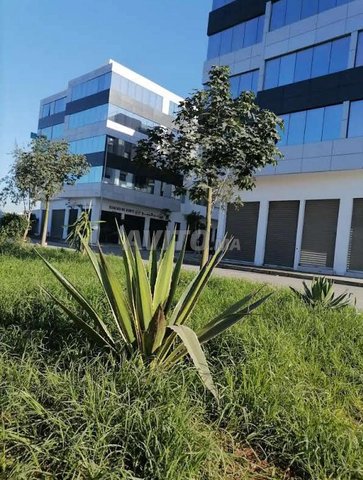 بيرو للكراء