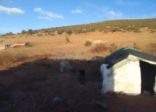 Route de Timahdite Ifrane