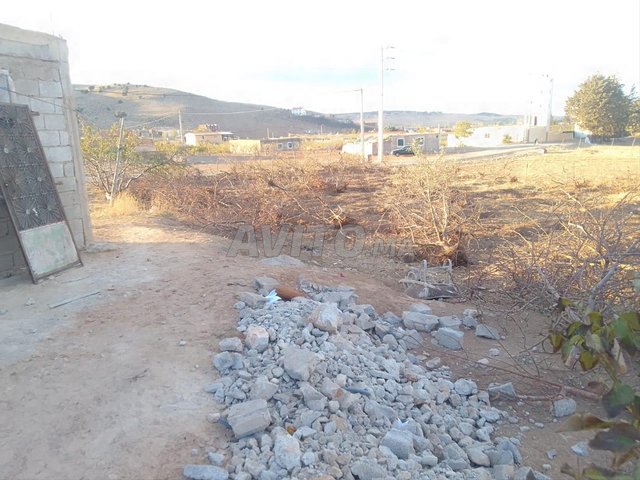 Route de Daya Hachlaf