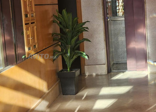 Bel appartement à vendre 90 m² à Fès