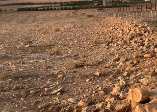 Terrain agricole très proche de Oujda