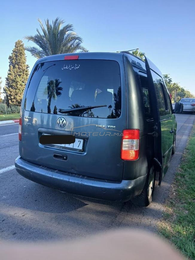 caddy 08 /diwana 17