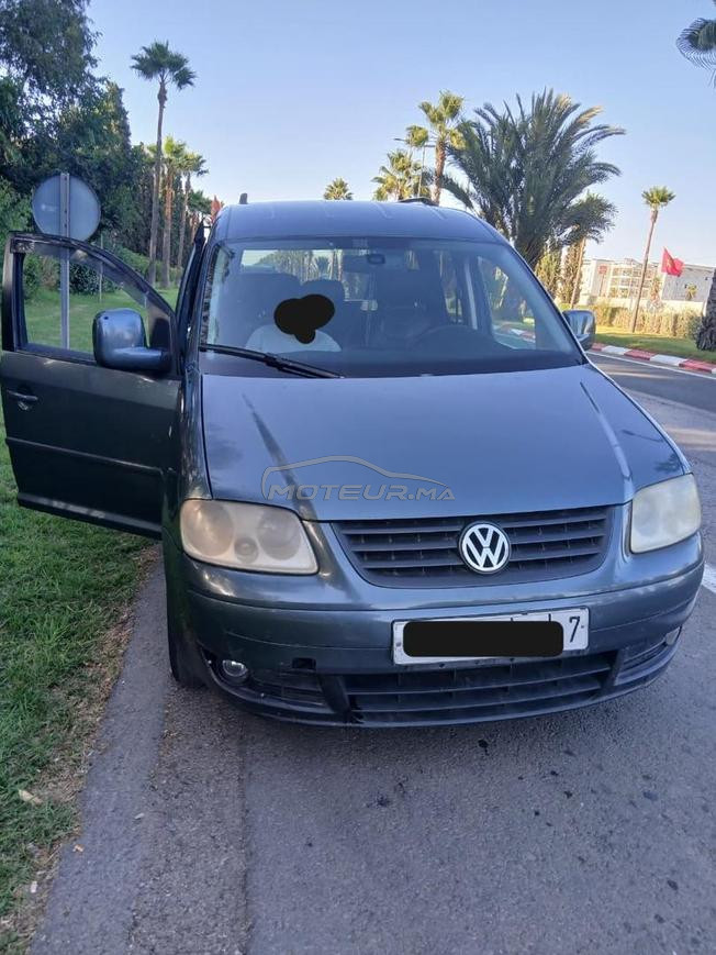caddy 08 /diwana 17