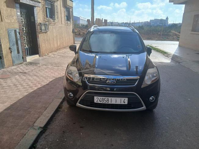 kuga