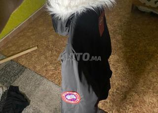 سترة canada goose 🍁