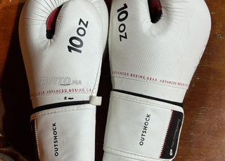 Gants d'entraînement ERGO BOXING 10 oz 🥊
