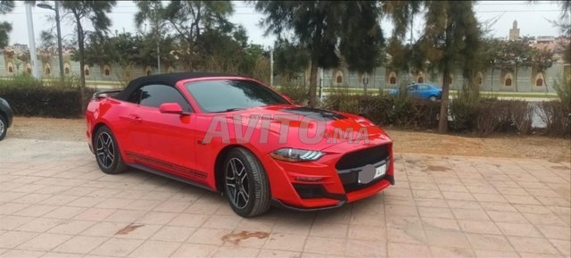 2021 فورد موستانج إيكوبوست