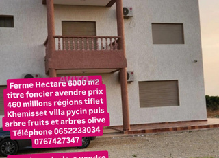 Ferme équipée à vendre, hectare et demi Tiflet Khémisset