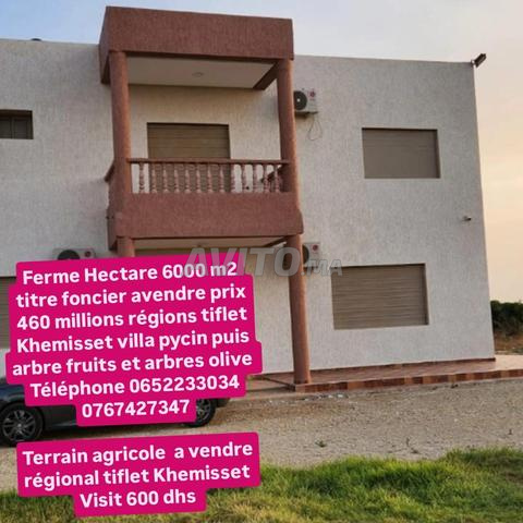 Ferme équipée à vendre, hectare et demi Tiflet Khémisset